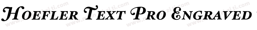 Hoefler Text Pro Engraved Bold字体转换